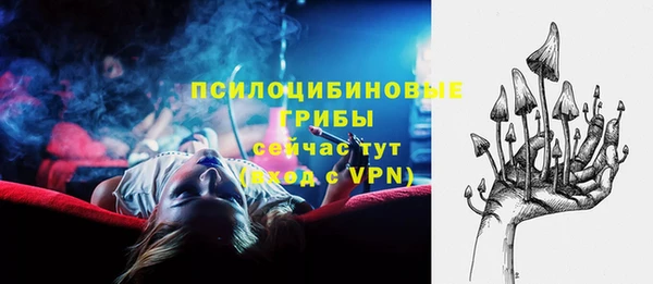 а пвп мука Горняк